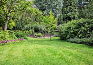 Optimiser l'expérience du jardin à Sauveterre-la-Lemance